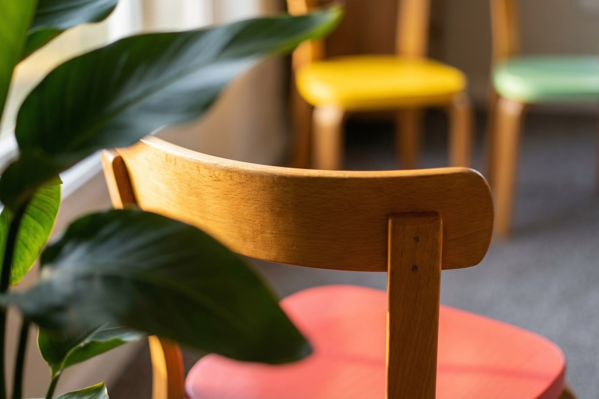 Stillleben mit Holzstuhl im Vordergrund und bunten Stühlen im Hintergrund, umgeben von einer Pflanze.