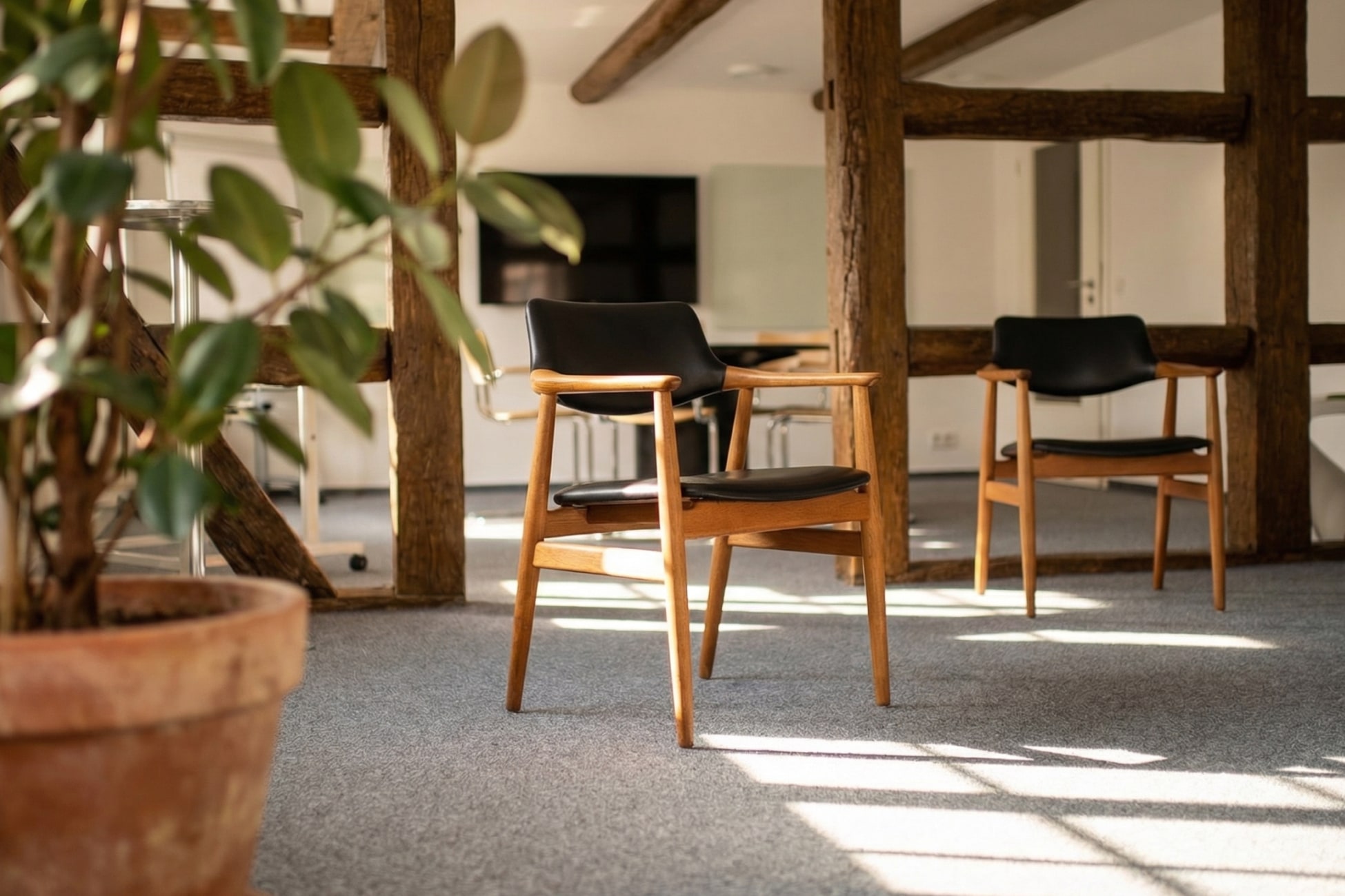 Stillleben eines Seminarraums mit Holzstühlen und einer Pflanze im Vordergrund. Helle, einladende Atmosphäre.